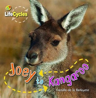 Joey to Kangaroo