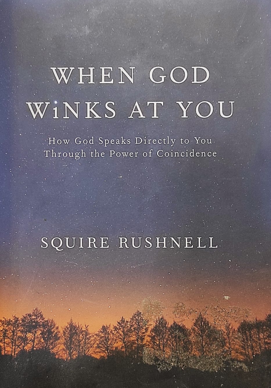 When God Winks at You: How God Speaks Directly to You Through the Power of Coincidence (Hardcover)