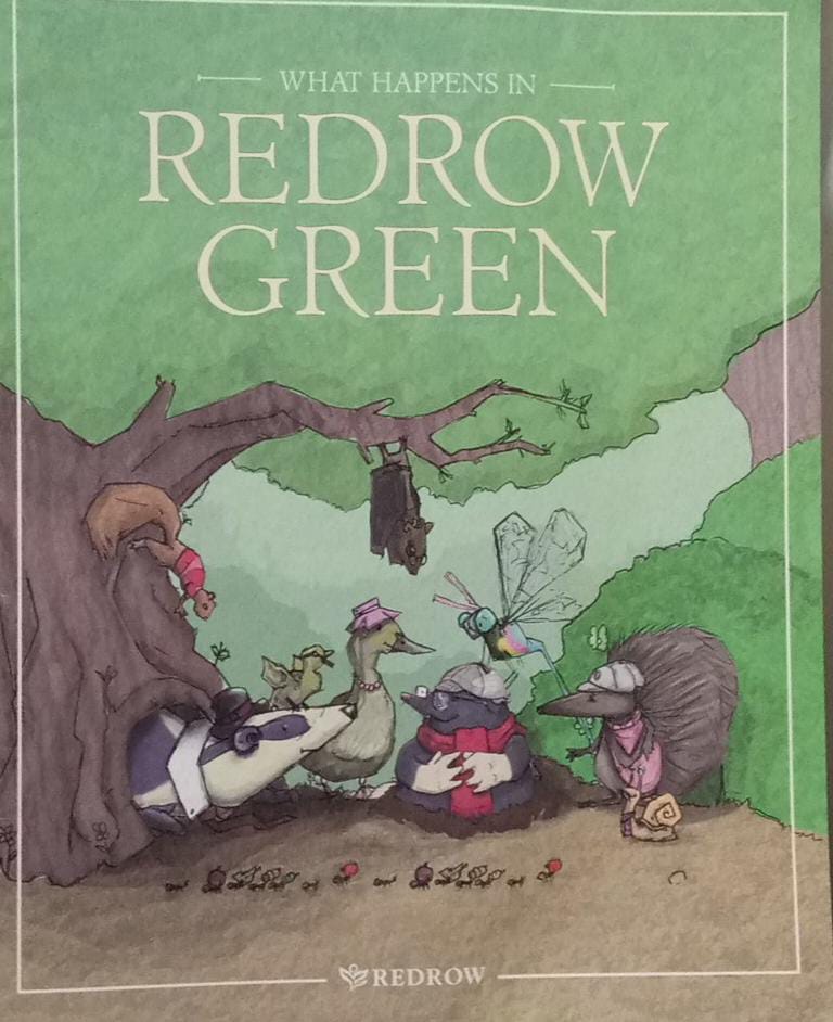 What Happens in Redrow Green