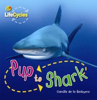 Pup to Shark (Life Cycles)