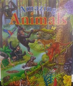 AMAZING ANIMALS [HARDCOVER]