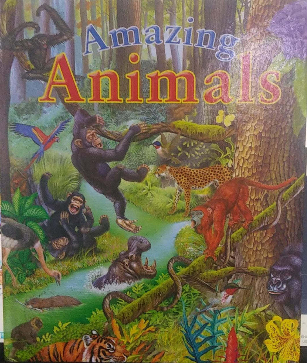 AMAZING ANIMALS [HARDCOVER]