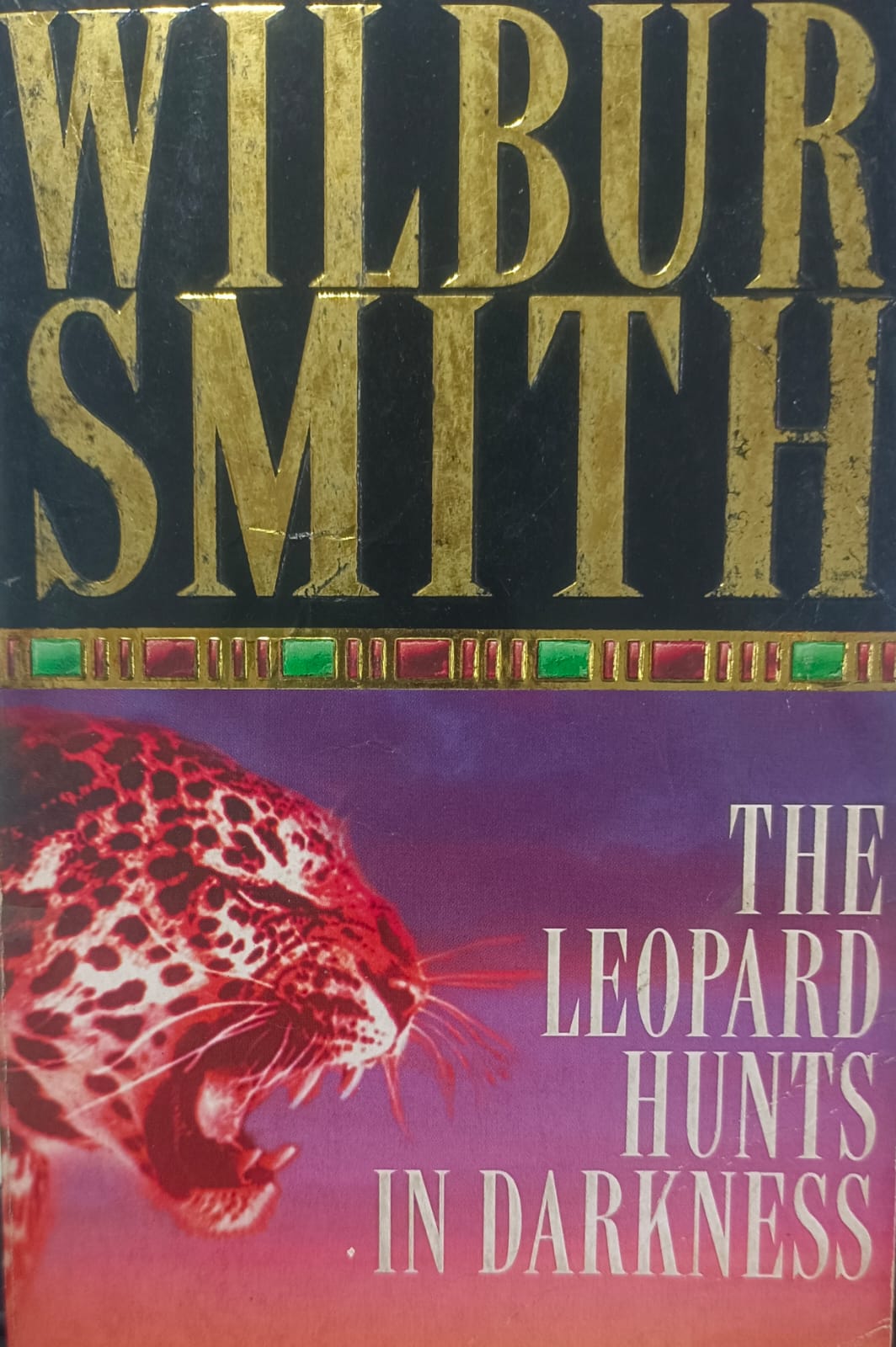 The Leopard Hunts in Darkness