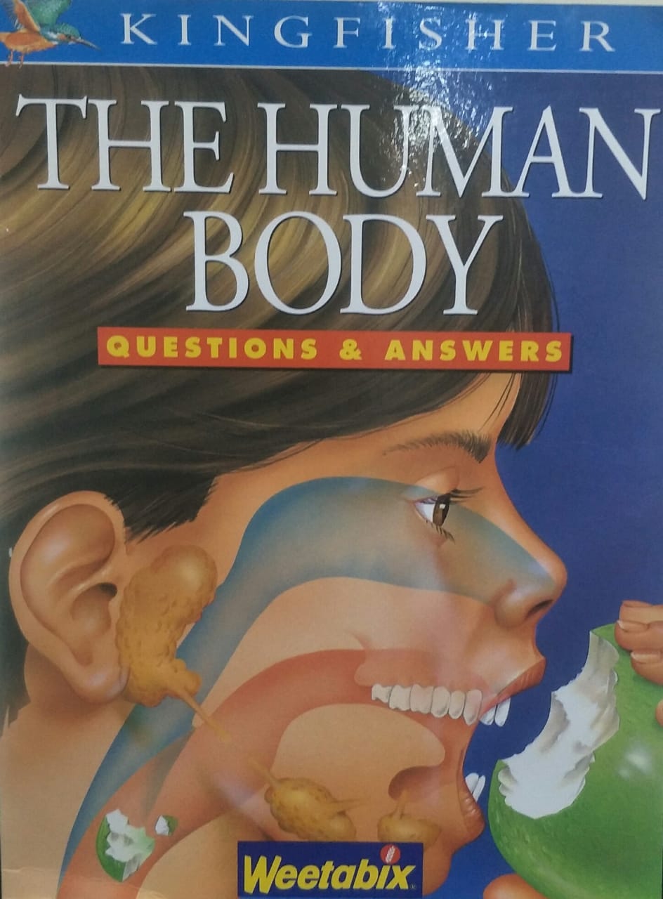 THE HUMAN BODY