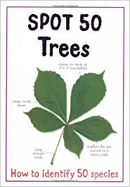 Spot 50 - Trees