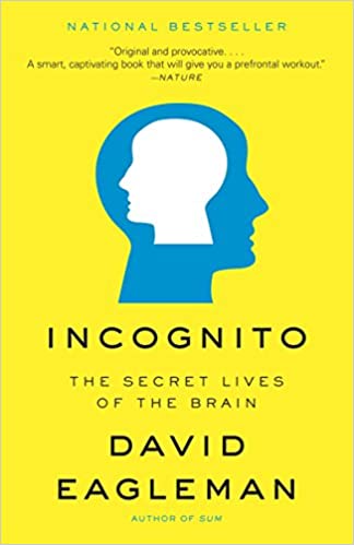 Incognito: The Secret Lives of the Brain (RARE BOOKS)
