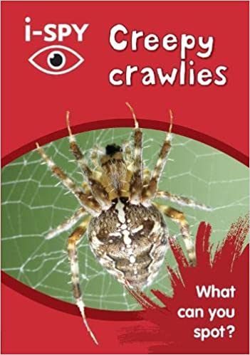i-SPY Creepy crawlies: What can you spot?