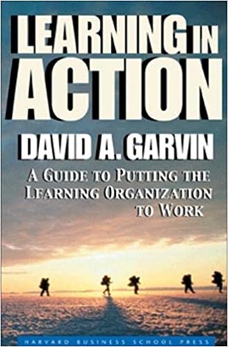 Learning in Action: A Guide to Putting the Learning Organization to Work (RARE BOOKS)