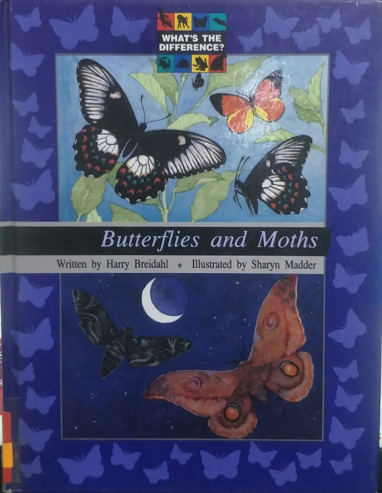 Butterflies and Moths [HARDCOVER]