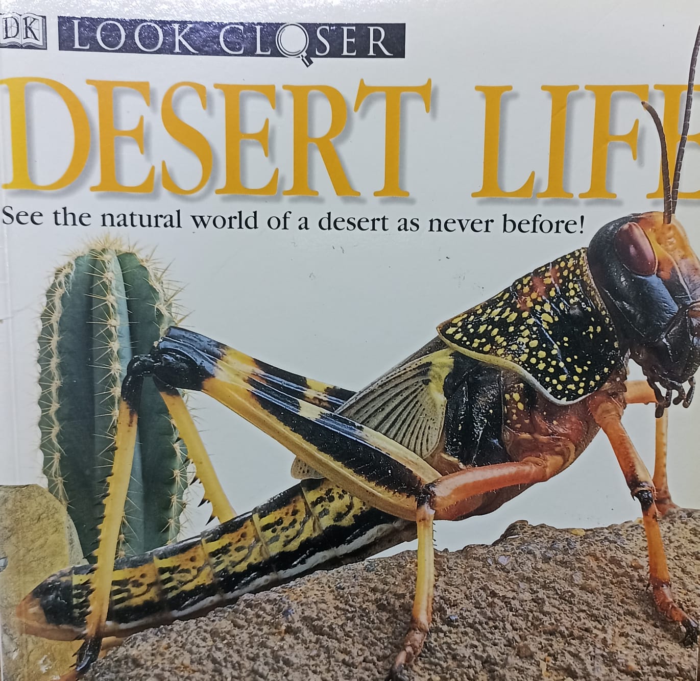 Desert Life