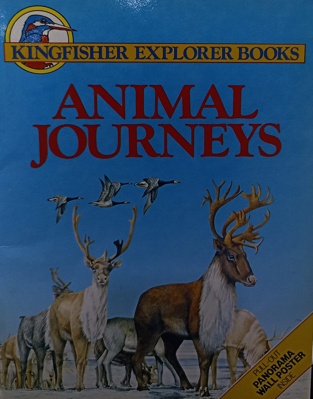 ANIMAL JOURNEYS