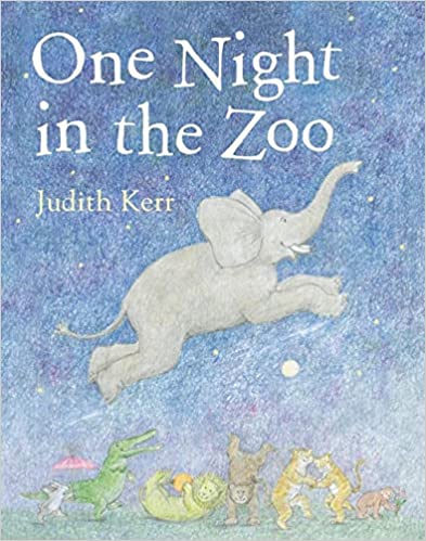 One night in the zoo [hardcover]