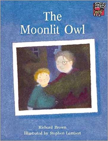 The Moonlit Owl