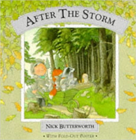 After the Storm (Hardcover)