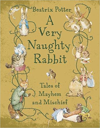 A Very Naughty Rabbit [HARDCOVER]