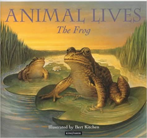 Animal Lives Frog