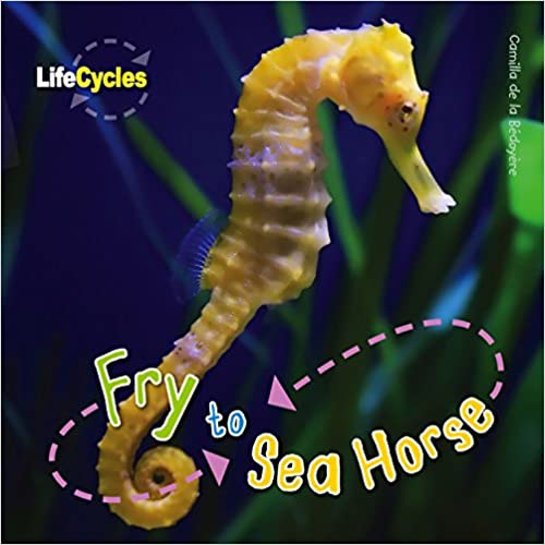 Fry to Seahorse (Life Cycles)