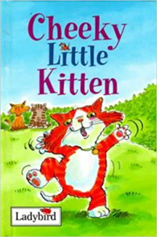 Cheeky Little Kitten (Little Stories) [HARDCOVER]