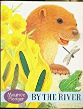 Oscar Otter [TOUCH THE FEEL] [BOARD BOOK]