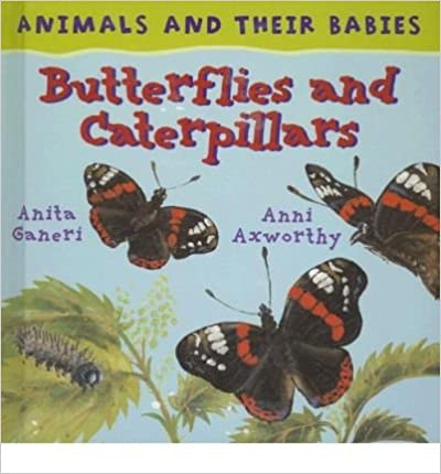 Butterflies and Caterpillars [HARDCOVER]