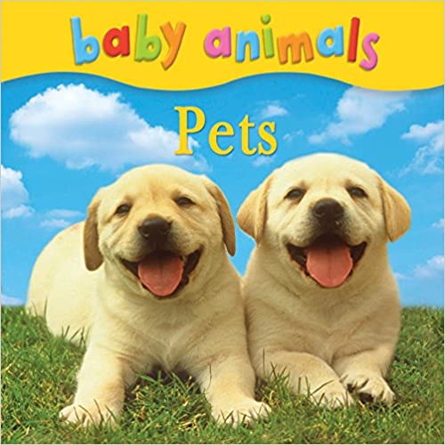 Baby Animals: Pets (Board book)