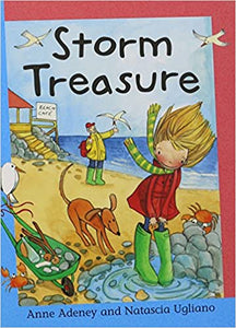 Storm Treasure (Reading Corner)