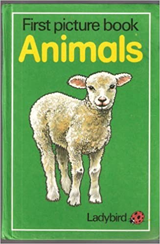 First Picture Book: Animals (HARDCOVER)