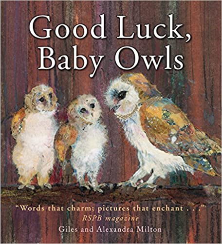 Used Luck, Baby Owls