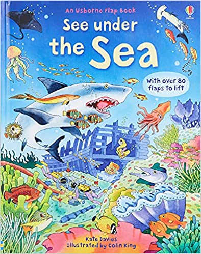 Under the Sea (Usborne See Inside) With 80 Flaps To Lift [Board book]