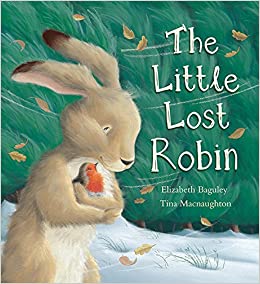 The Little Lost Robin