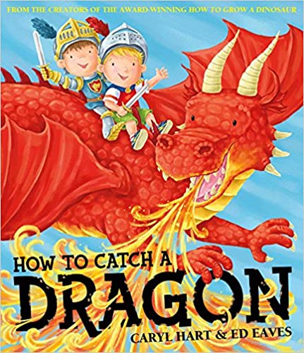How To Catch a Dragon