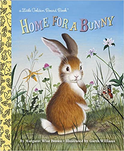 Home for a bunny [HARDCOVER]