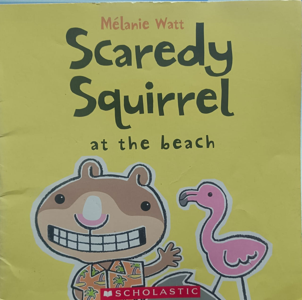 Scaredy Squirrel at the Beach
