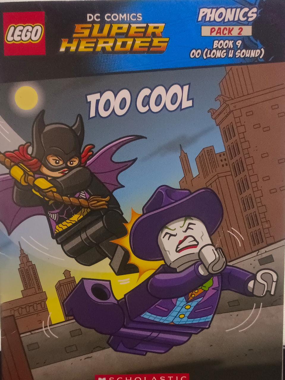 DC COMICS SUPER HERDES Too Cool