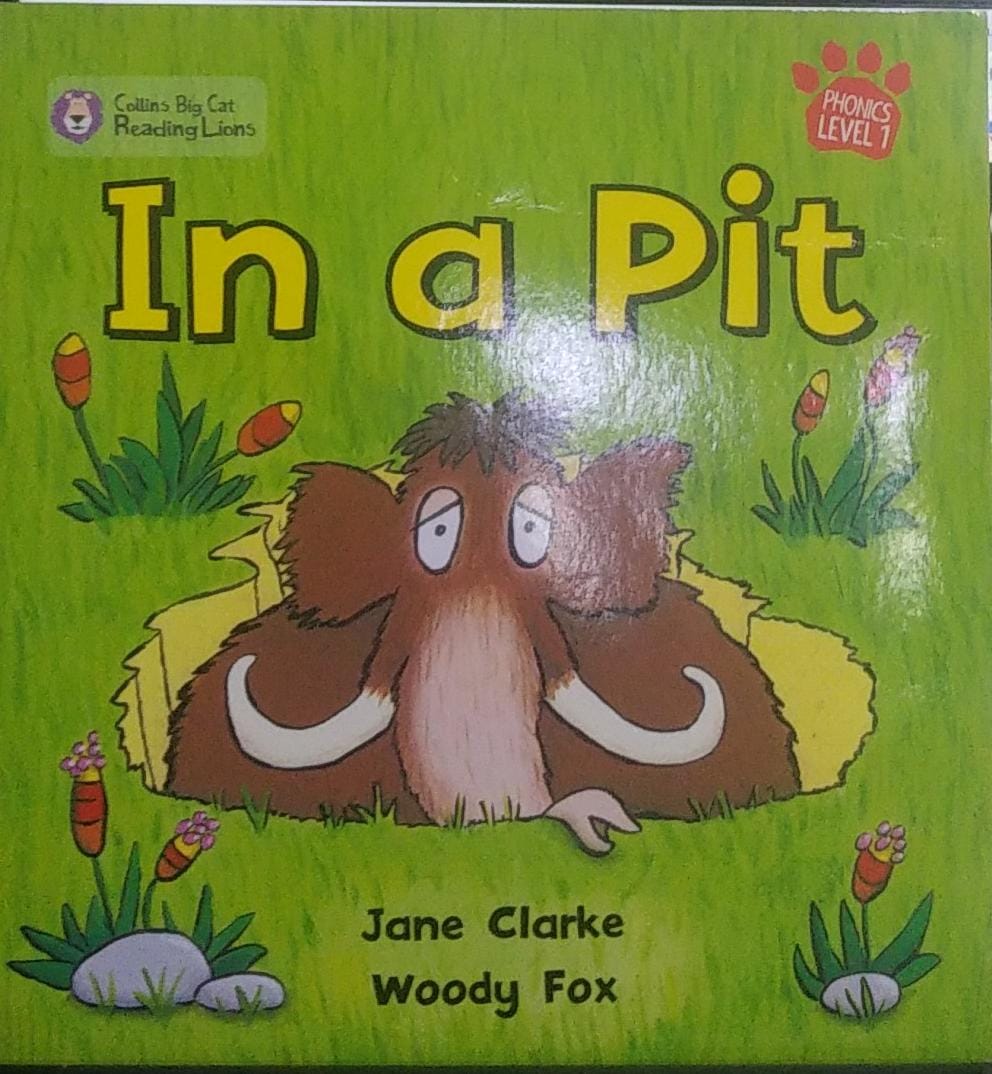 In a Pit : Phonics Level 1