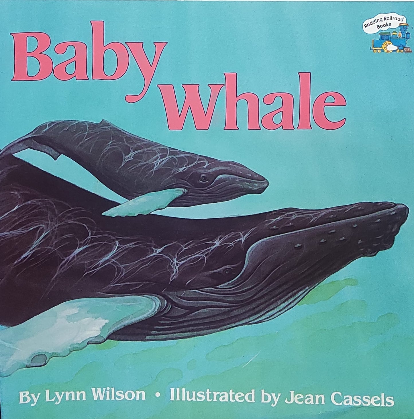 Baby Whale
