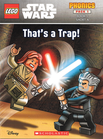 Lego star wars revenge 2024 of the sith book