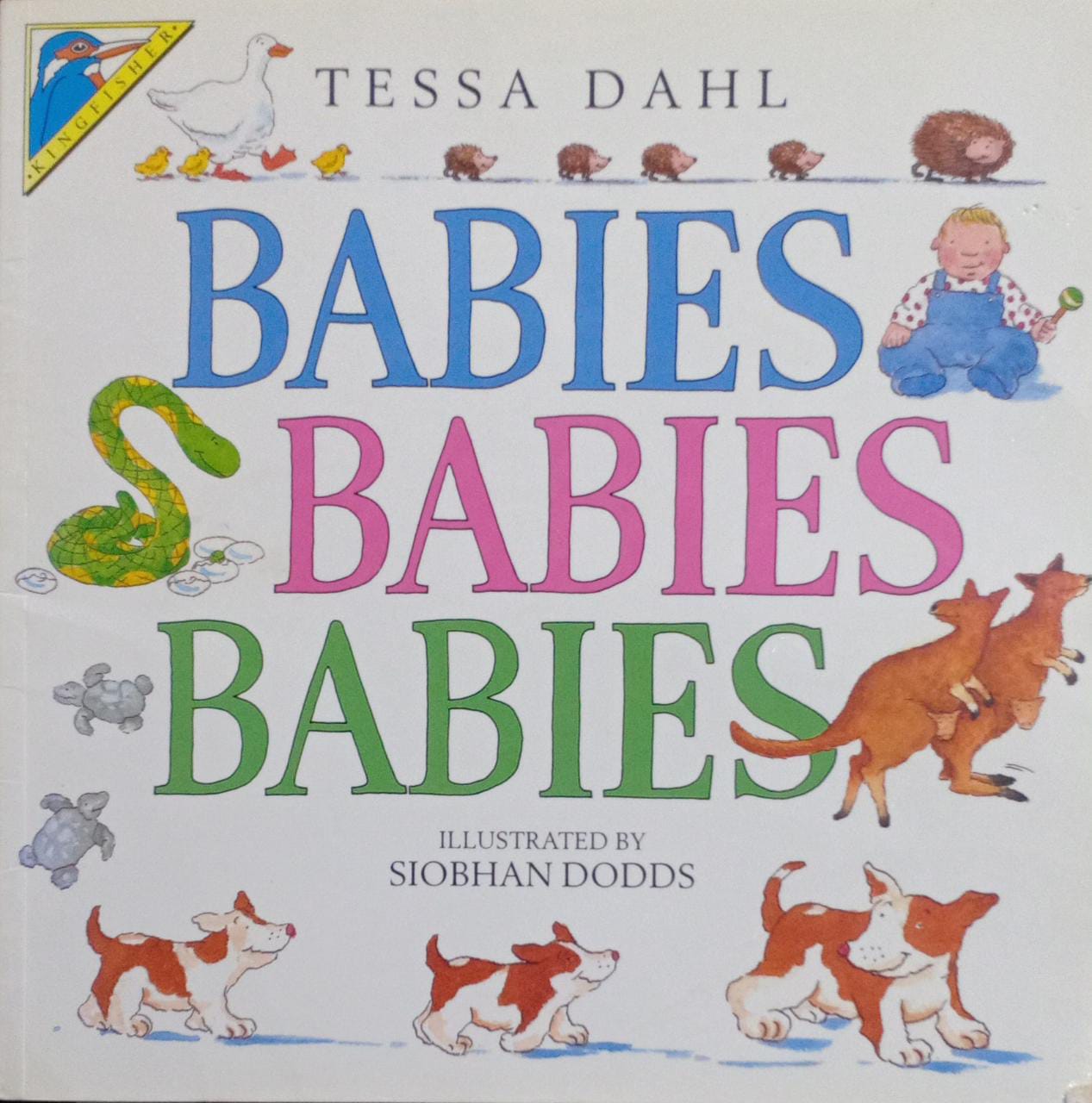 Babies, Babies, Babies (Picture Books)