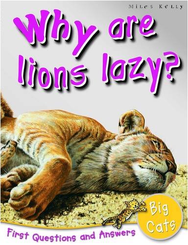Why are lions lazy