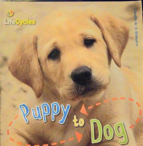 PUPPIES & DOGS (Life Cycles)
