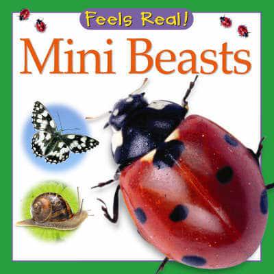 Mini Beasts [TOUCH AND FEEL] [BOARD BOOK]