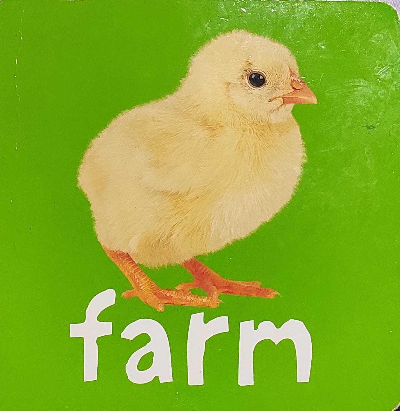 FARM (BOARD BOOK)