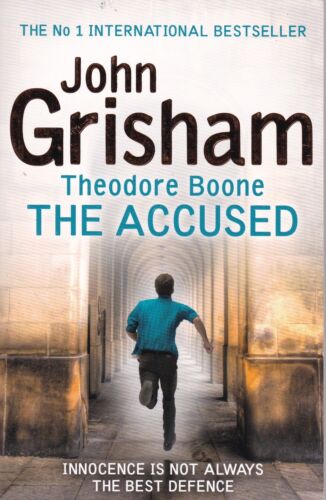 Theodore Boone : The Accused