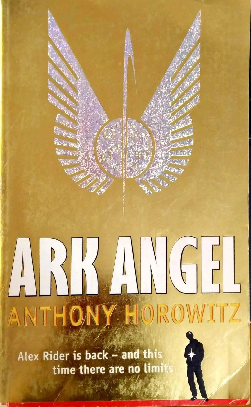 Ark Angel