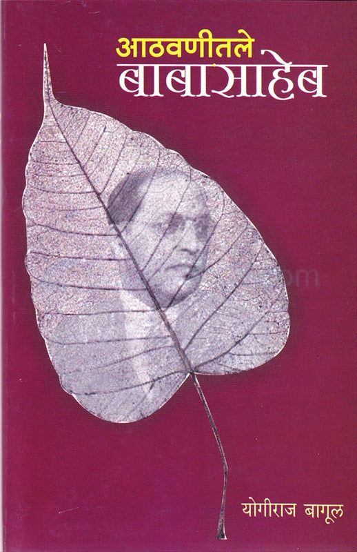 Aathvanitle Babasaheb [Marathi Edition]