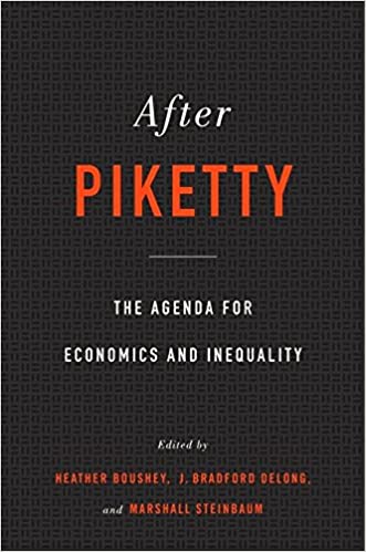 After Piketty [Hardcover] (RARE BOOKS)