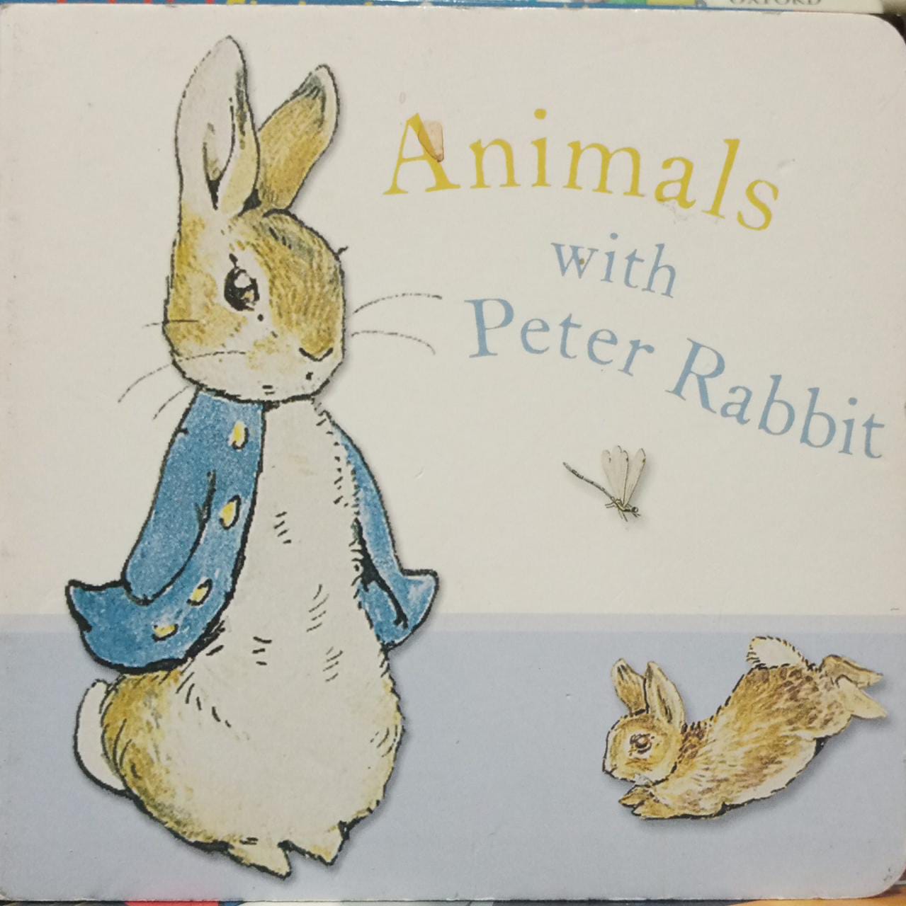 Animal With Peter Rabbit Board book