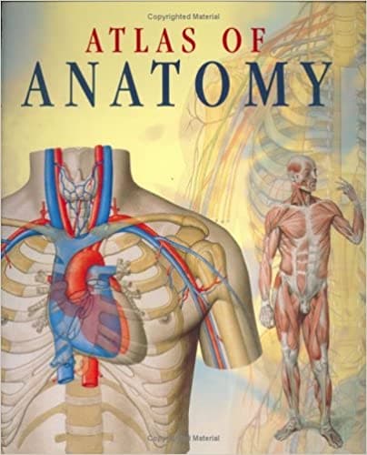 Atlas Of Anatomy