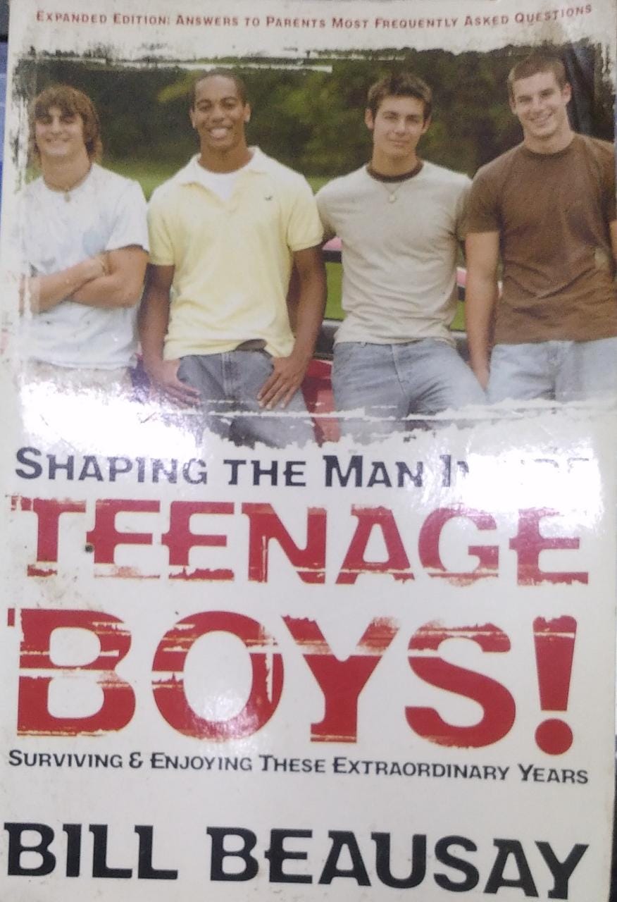 Teenage Boys: Surviving and Enjoying These Extraordinary Years
