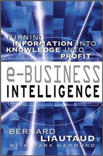 e-Business Intelligence [HARDCOVER] (RARE BOOKS)